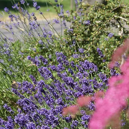 Appartamento Le Panorama