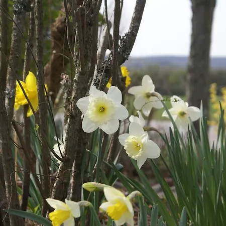Le Panorama Appartamento Nadrin