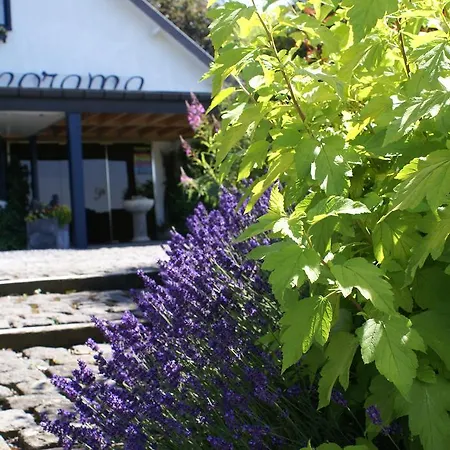 Appartamento Le Panorama Nadrin