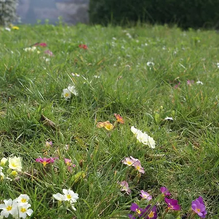 Le Panorama Appartamento