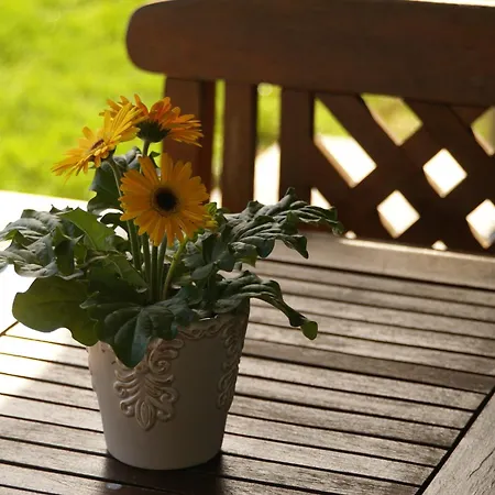 Le Panorama Apartament