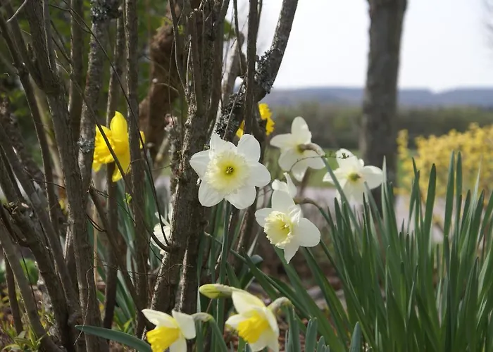 Le Panorama شقة Nadrin